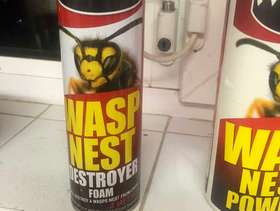 Freecycle Wasp nest killers