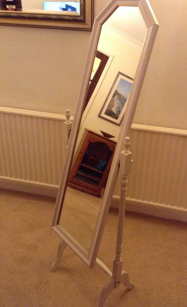 FreelyWheely Free standing mirror.