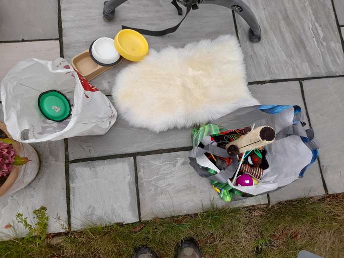 FreelyWheely Cat equipment