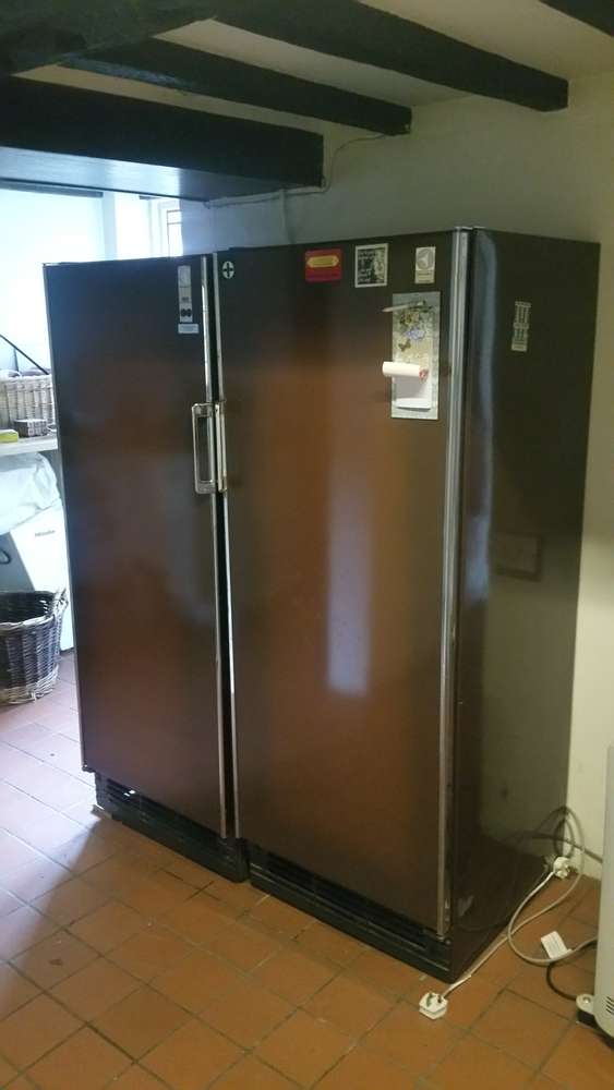 FreelyWheely Upright fridge and freezer