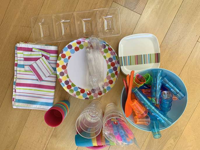 FreelyWheely PICNIC/BBQ OR PARTY plates, cups etc