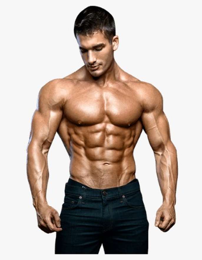 FreelyWheely How to Build an Athletic Body (For Beginners)?