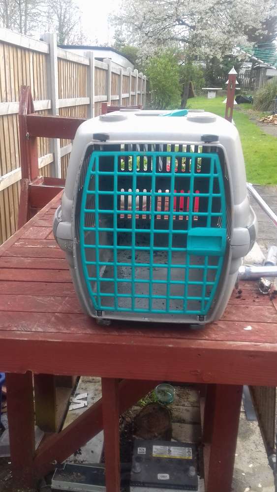 FreelyWheely Large cat basket