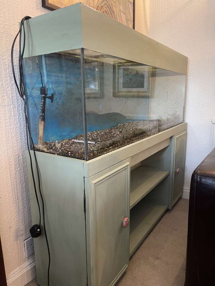 FreelyWheely FREE 4ft fish tank in separate working light, heater AND lots of tank