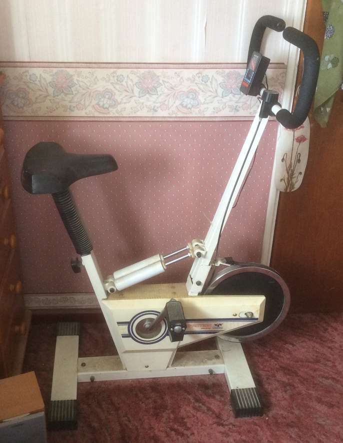 FreelyWheely Flywheel Exercise Bike