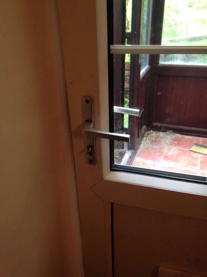 FreelyWheely UPVC door(small pane effect) cat flap included