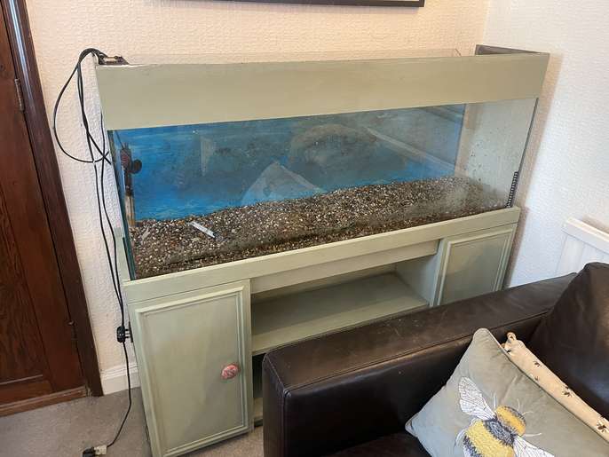 FreelyWheely FREE 4ft fish tank in separate working light, heater AND lots of tank