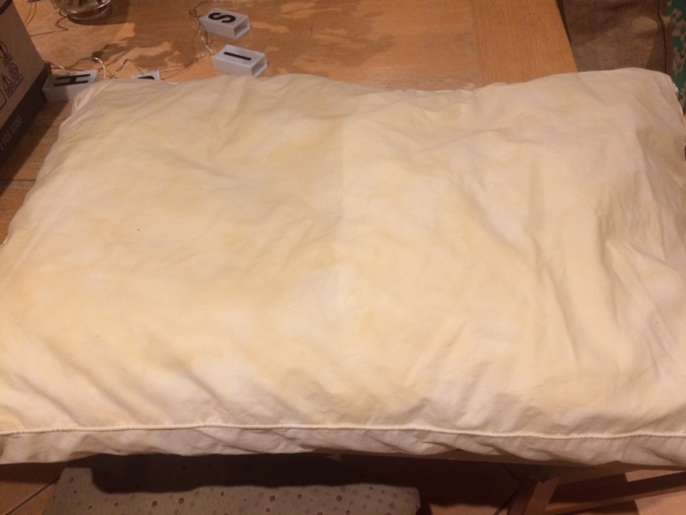 FreelyWheely Used pillow Collect from Guildford GU1