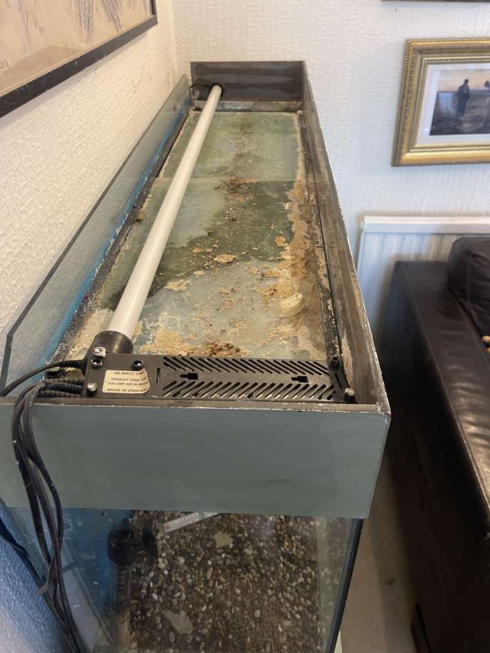 FreelyWheely FREE 4ft fish tank in separate working light, heater AND lots of tank