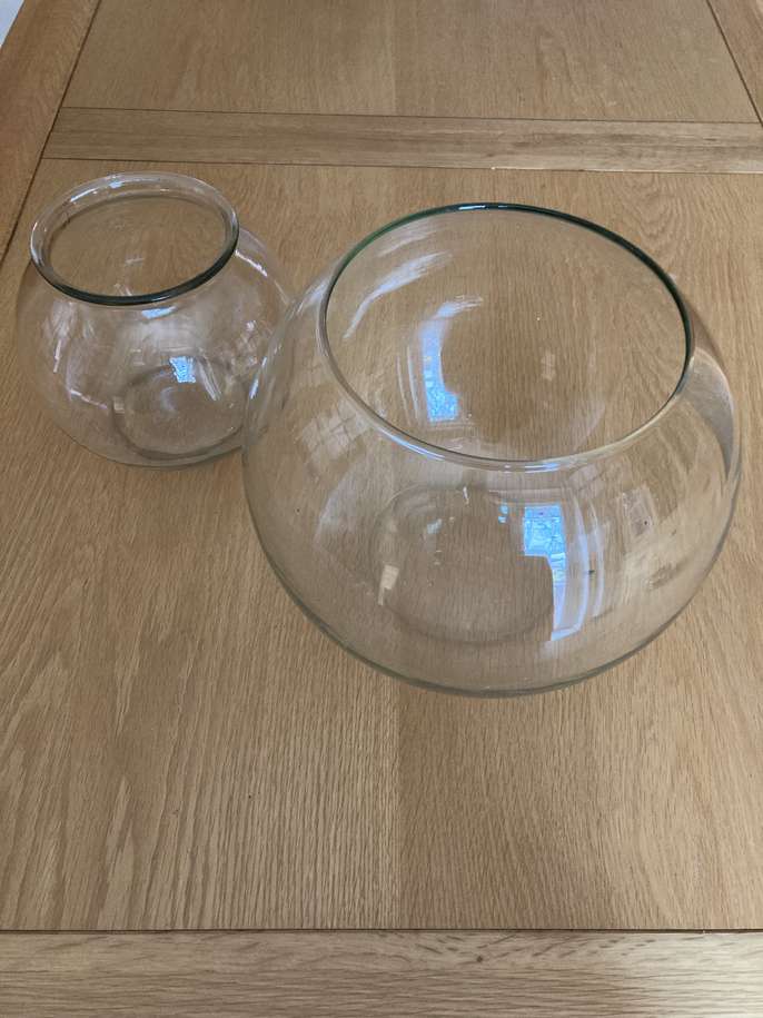 FreelyWheely 2 Glass Bowls