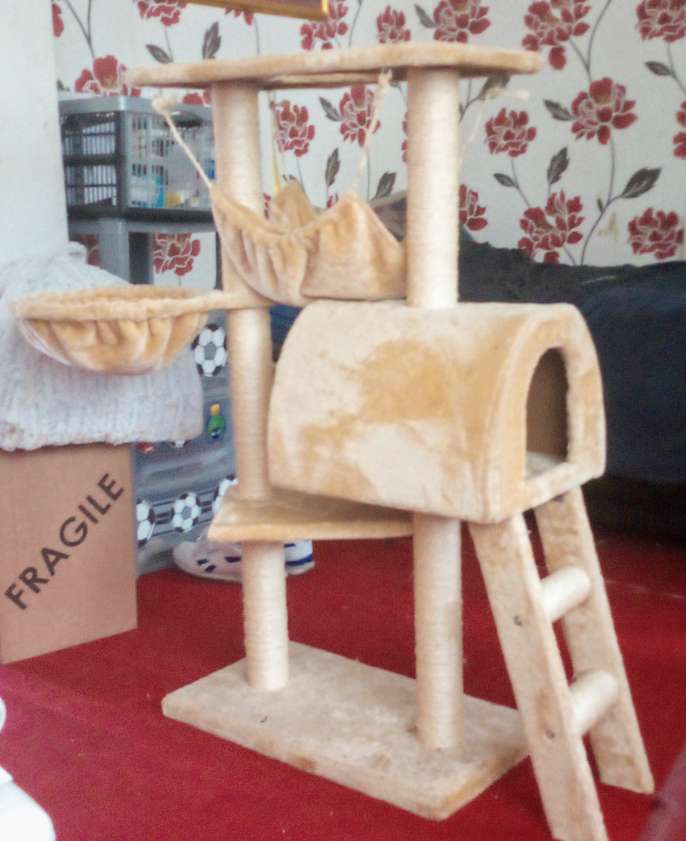 FreelyWheely Cat activity tower