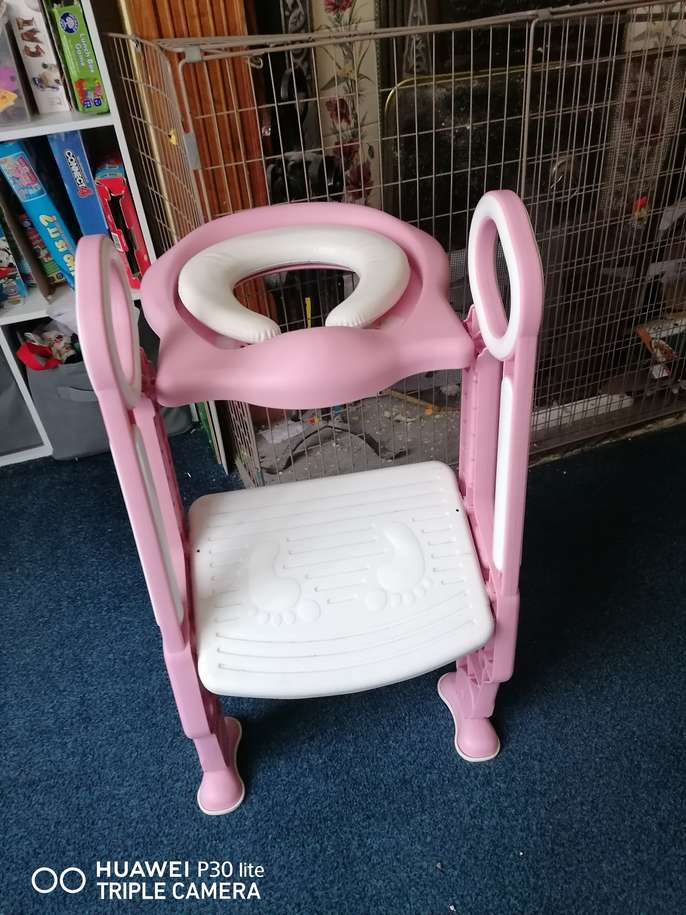 FreelyWheely Toilet seat and step for training.