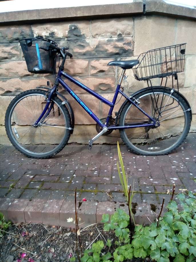 FreelyWheely Bike for small adult/teenager