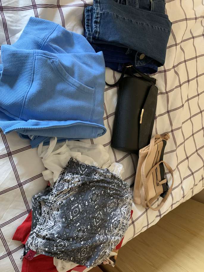 FreelyWheely Bag of clothes and a couple of handbags