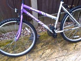 Freecycle Cycle