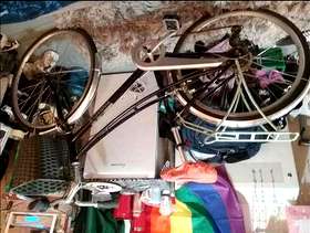 Freecycle Bike
