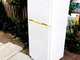 Freecycle Tall Fridge Freezer