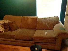 Freecycle Sleeper Sofa