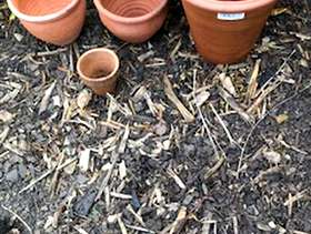 Freecycle Ceramic pots