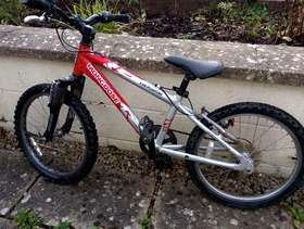 Freecycle Children's mountain bike, 20" wheel