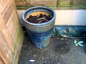 Freecycle Large garden pot