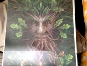 Freecycle Anne stokes tree picture