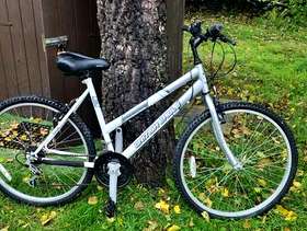 Freecycle 2 x bicycles