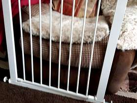 Freecycle Stair gate