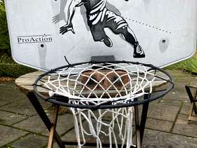 Freecycle Basketball backboard and hoop.