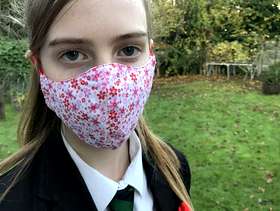 Freecycle Face masks