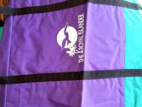 Freecycle Large travel beach picnic bag