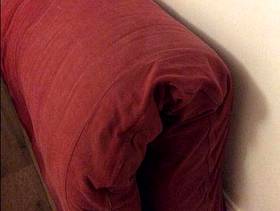 Freecycle Double Futon