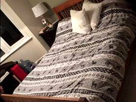 Freecycle Antique Pine bed frame king size.