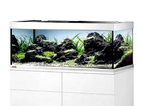 Freecycle Large Aquarium
