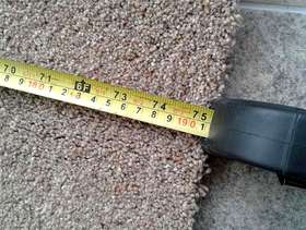 Freecycle Carpet new + underlay