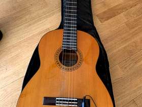 Freecycle Acoustic guitar and case