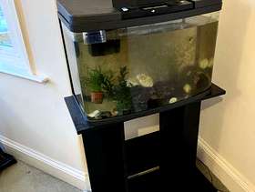 Freecycle Fish tank with stand