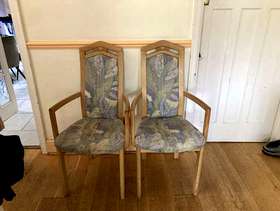 Freecycle Dining Chair