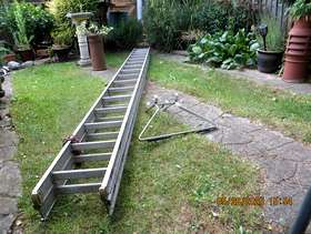 Freecycle Ladder