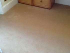 Freecycle Carpet
