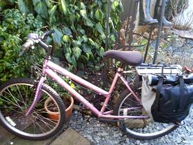 Freecycle Lady's bike