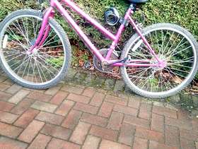 Freecycle Ladies bicycle