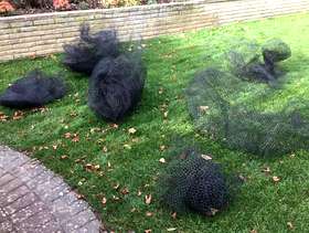 Freecycle Garden nets