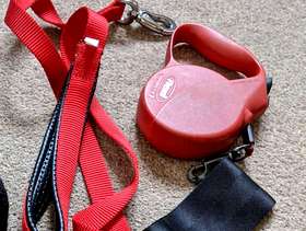 Freecycle Dog leads