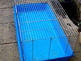 Freecycle Guinea pig bundle