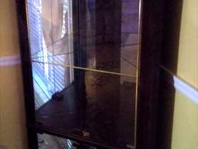 Freecycle Curio Cabinet