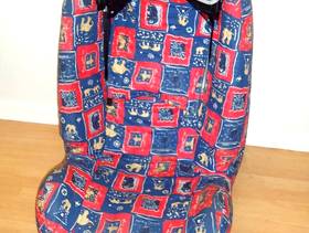 Freecycle Child's booster car seat