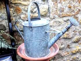 Freecycle 2 gallon watering can