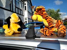 Freecycle Soft toys