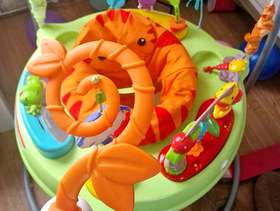 Freecycle Jumperoo